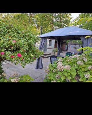 Dutch calmness
