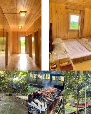 Hotel Okatsia სასტუმრო ოკაცია