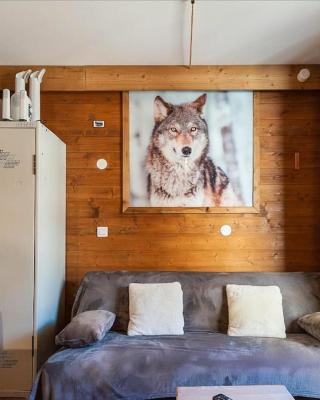Cosy 5 persons / Ski In Ski out