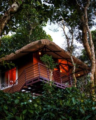 Coffee Cradle Wayanad Luxuorios Private Tree House - Inside 2 Acre Coffee Plantation