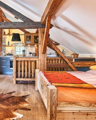 Appartement Alpine Affair