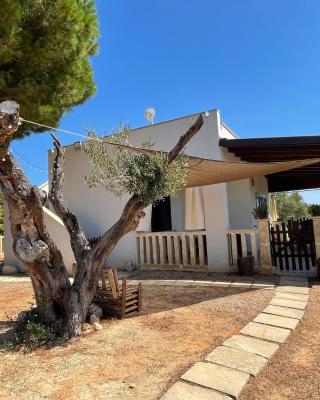 Villetta PEPE nel Salento