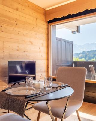 Le Balcon du Mont Blanc - Studio refait à neuf
