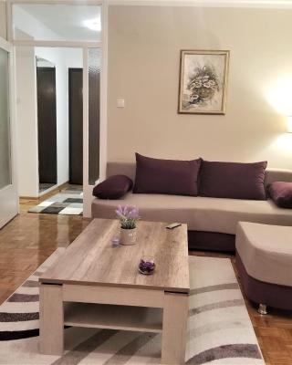 Arena West Apartment