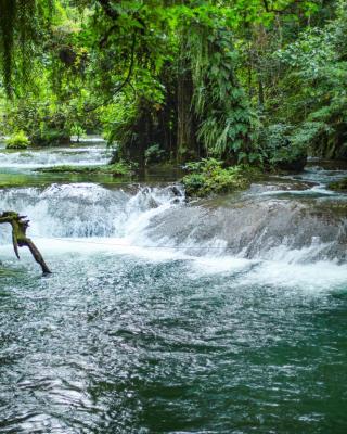 Stay at Eden on the River