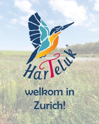 HarTeluk Afsluitdijk Zurich