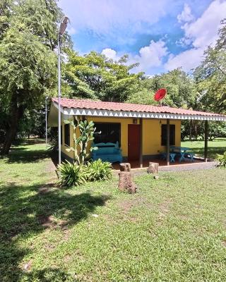 Iguana Street Houses