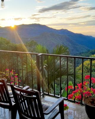 Golden View Guest
