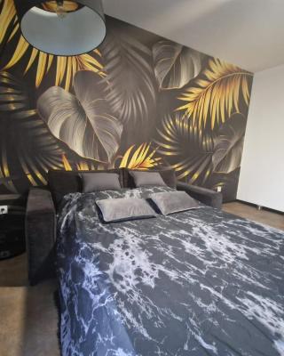 Appartement spacieux MULHOUSE
