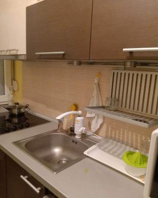 Ušće apartman