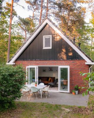 Luxe Vakantiehuis Grove Den Veluwe