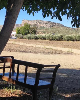 Alojamiento rural Huerta Mandre