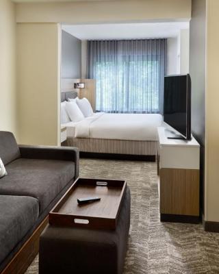 SpringHill Suites Raleigh-Durham Airport/Research Triangle Park