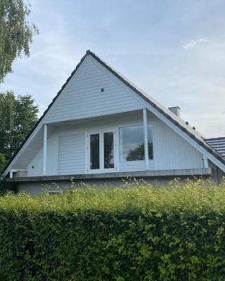 Renovated apartment