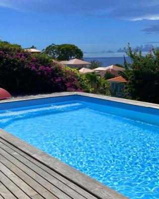 Villa de charme avec piscine et magnifique vue mer