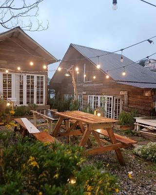 The Burrow Dalat