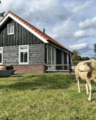 Geldersche tuin 6 persoons