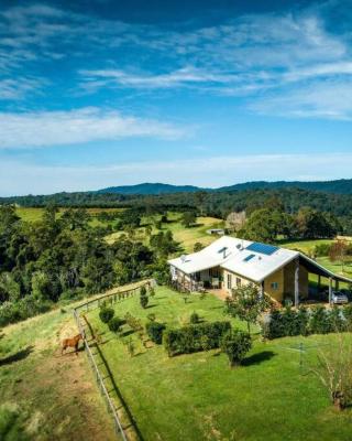 The Tree House Bellingen