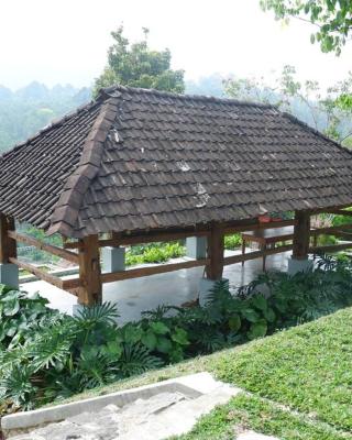 Omah Pinaringan