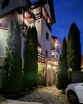Hotel Bran Stoker