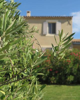 Gite LE PETIT LUBERON COQUELICOT