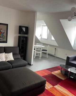 APARTMÁN U ZOUBKU