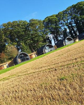 Eastfield Glamping Farm