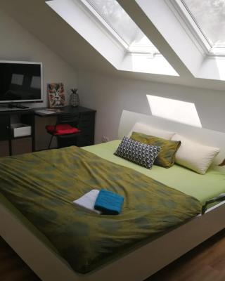 Gästezimmer mit eigenem Bad in Reihenmittelhaus