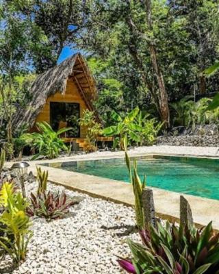 Cabinas de Lou Eco Lodge TAMARINDO