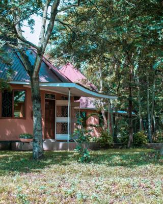 Charming Bungalows