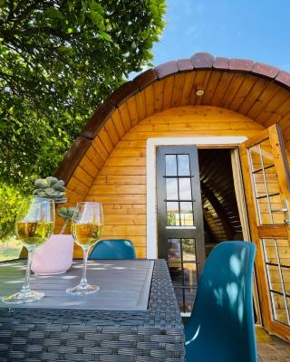 The Gold Pod, relax and enjoy on a Glamping house