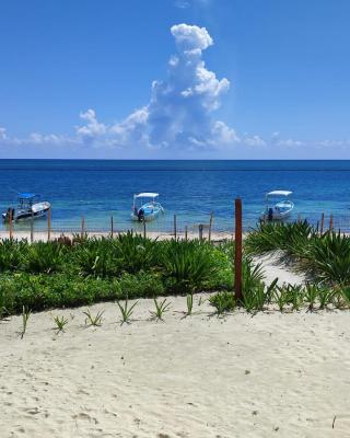 Casa Lucia Beachfront Puerto Morelos