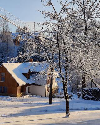 Luxusní apt Hory 7 v Krkonoších