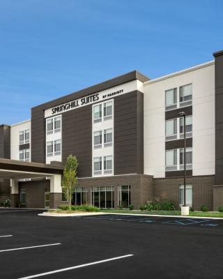 SpringHill Suites by Marriott Kalamazoo Portage