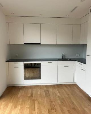 The R Apartment Vogelberg, Gym, Balkon, Parking