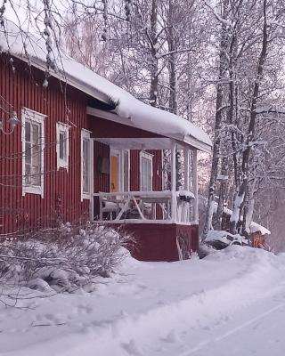 Punainen pihatorppa Hauholla