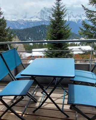 Appartement 4/6 personnes - Vue plein sud - Chamrousse