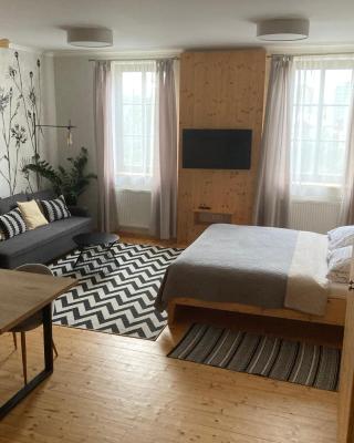 Apartmány Štěpánkova 85