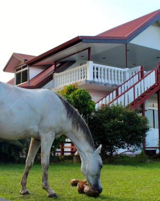 Tekauhivai Lodge