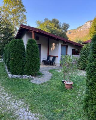 Studiouri Valisoara