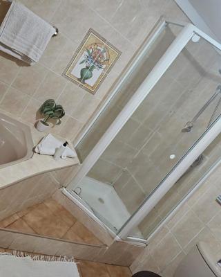 Badi's B&B Guest house