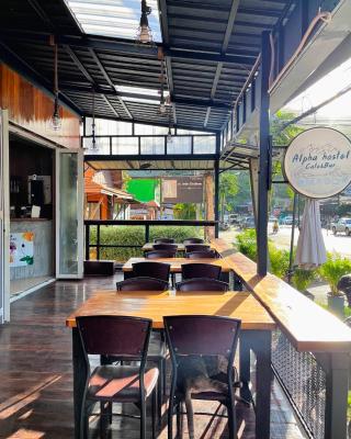 ALPHA Hostel Cafe&Bar