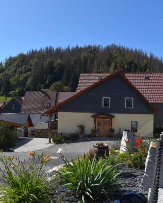 Ferienhaus Chalet zur Werraquelle