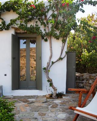 Under The Linden Tree Tinos