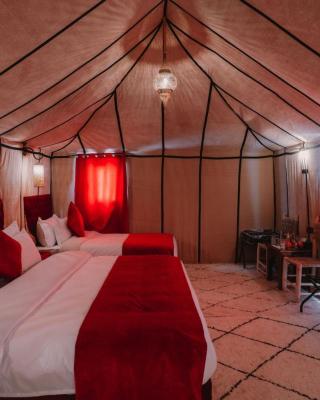 Starlit camp