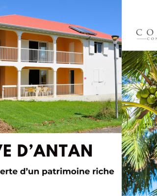 Rêve d'Antan - Douceur exotique