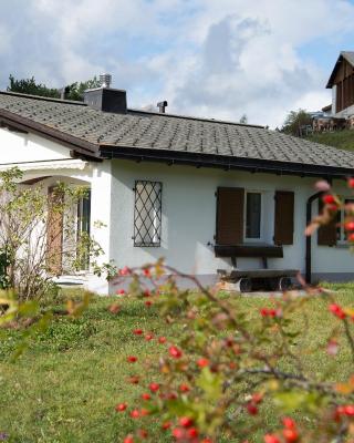 Ferienhaus mit Garten Tgease Schilendra-Lantsch-Lenz-Lenzerheide