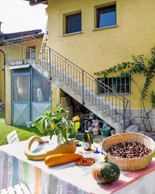Petit Jardin - Happy Rentals