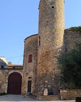 Gîtes de la place du château