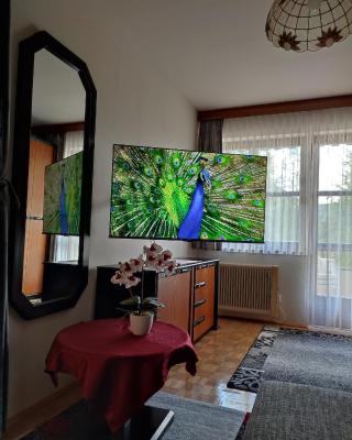 Appartement Sonja Nassfeld